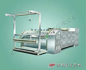 WPF-SM濕刷毛定型機(jī)
